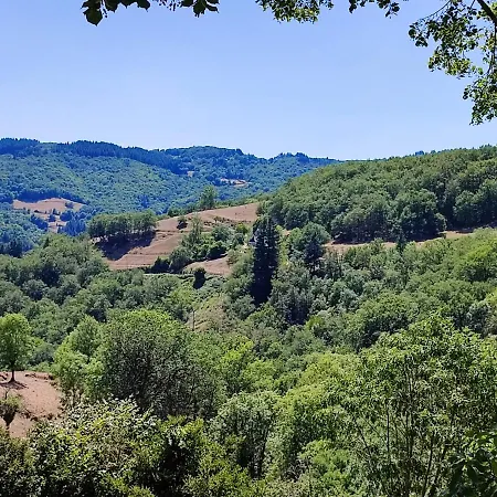 Ferienhaus Maison Spacieuse A Avec Jardin 70 M² Florentin-la-Capelle