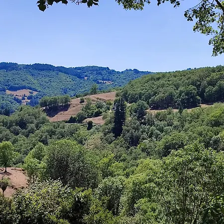 Maison Spacieuse A Avec Jardin 70 M² *